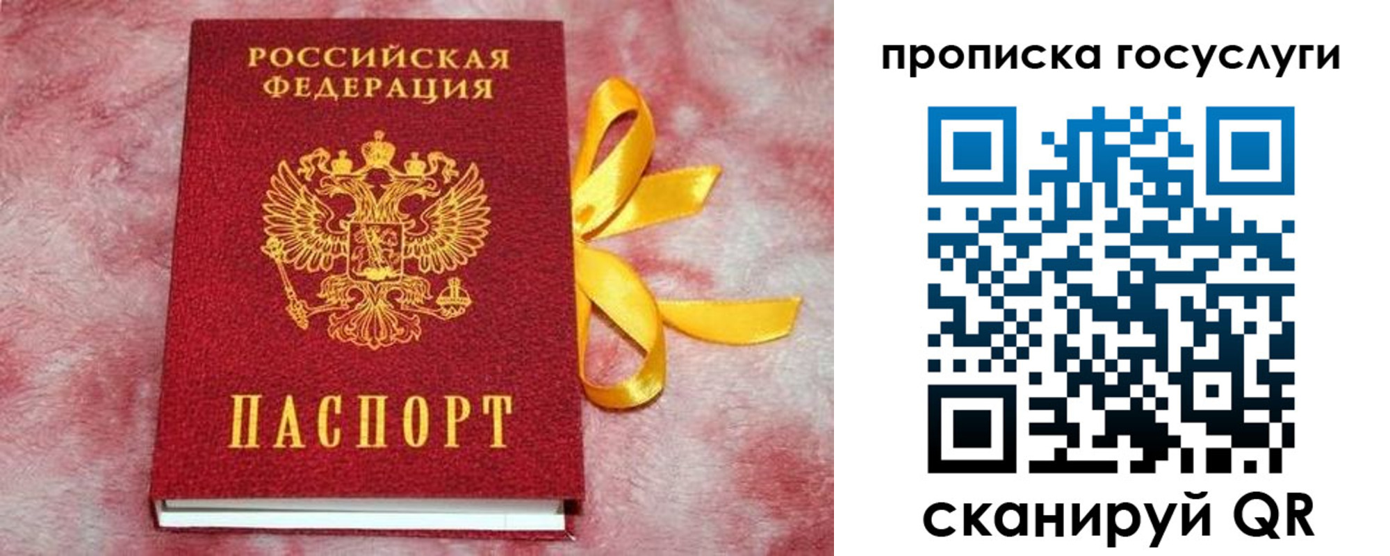 прописка законно в Жигулёвске